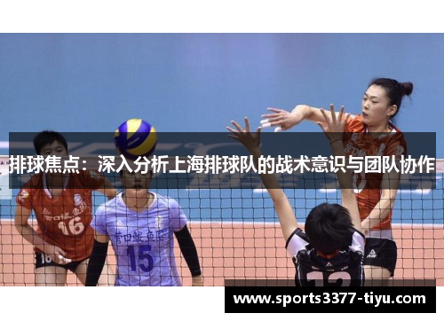 排球焦点：深入分析上海排球队的战术意识与团队协作