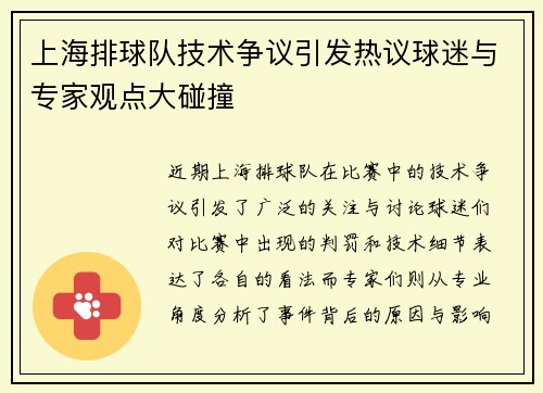 上海排球队技术争议引发热议球迷与专家观点大碰撞