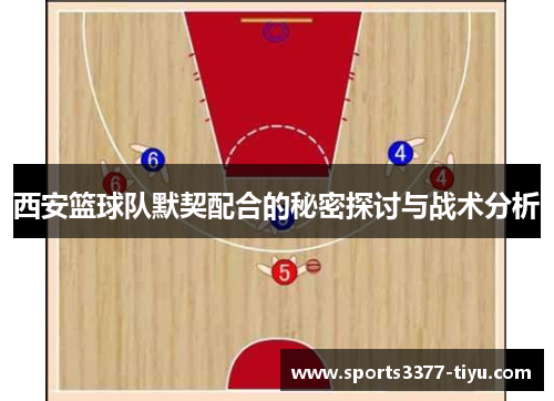 西安篮球队默契配合的秘密探讨与战术分析